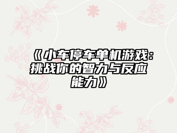 《小车停车单机游戏：挑战你的智力与反应能力》