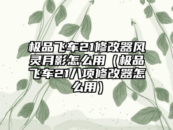 极品飞车21修改器风灵月影怎么用（极品飞车21八项修改器怎么用）
