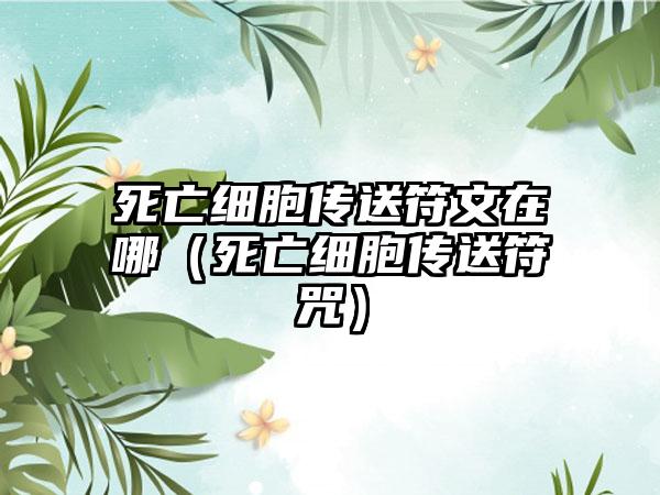 死亡细胞传送符文在哪（死亡细胞传送符咒）