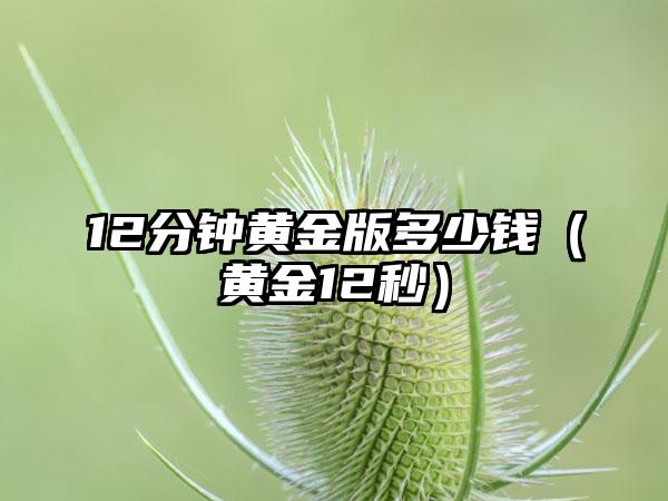 12分钟黄金版多少钱（黄金12秒）