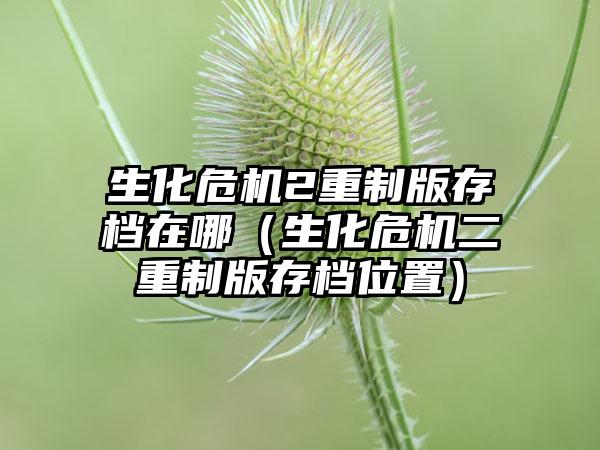 生化危机2重制版存档在哪（生化危机二重制版存档位置）