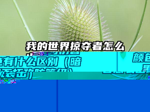 我的世界掠夺者怎么出现（我的世界掠夺者怎么出现袭击）