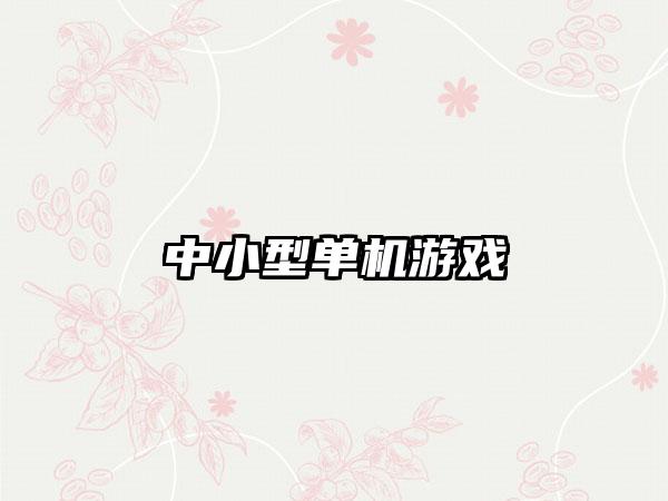 中小型单机游戏