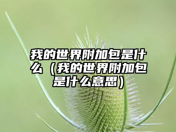 我的世界附加包是什么（我的世界附加包是什么意思）