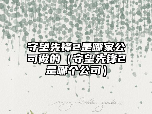 守望先锋2是哪家公司做的（守望先锋2是哪个公司）