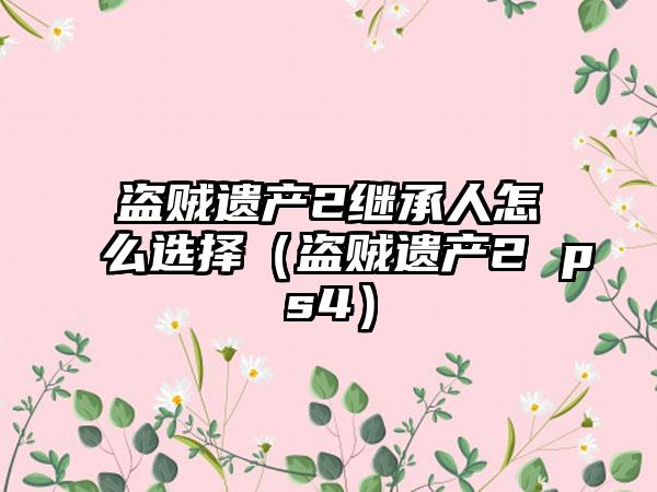 盗贼遗产2继承人怎么选择（盗贼遗产2 ps4）