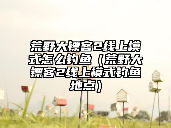 荒野大镖客2线上模式怎么钓鱼（荒野大镖客2线上模式钓鱼地点）