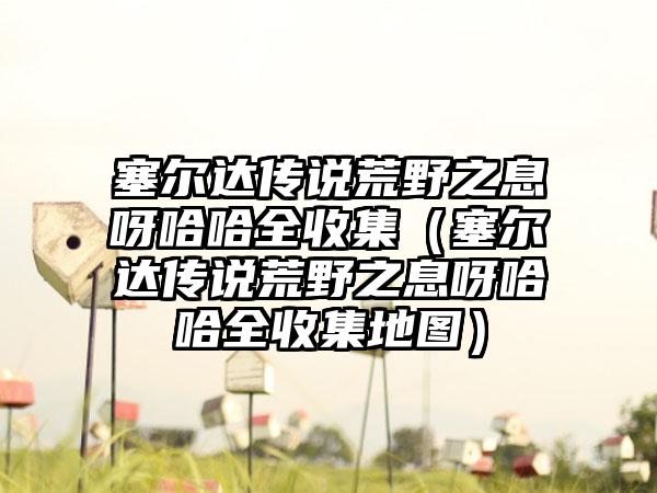 魔兽世界决战奥格瑞玛，决战奥格瑞玛暴风城