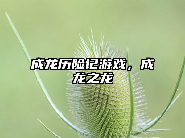 成龙历险记游戏，成龙之龙