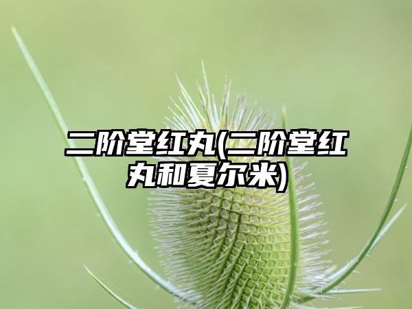 二阶堂红丸(二阶堂红丸和夏尔米)
