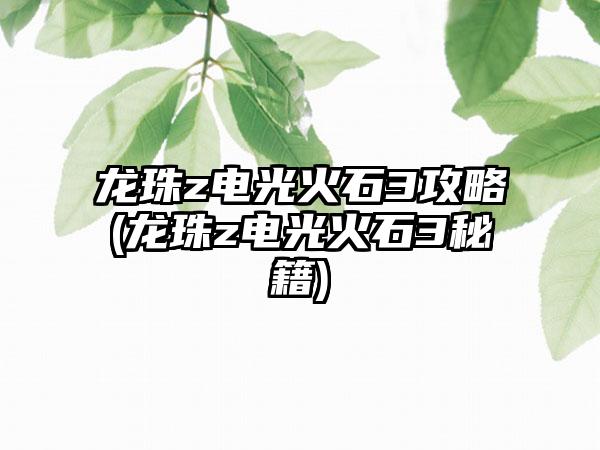 龙珠z电光火石3攻略(龙珠z电光火石3秘籍)