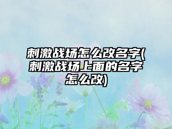 刺激战场怎么改名字(刺激战场上面的名字怎么改)