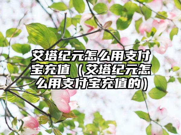 艾塔纪元怎么用支付宝充值（艾塔纪元怎么用支付宝充值的）
