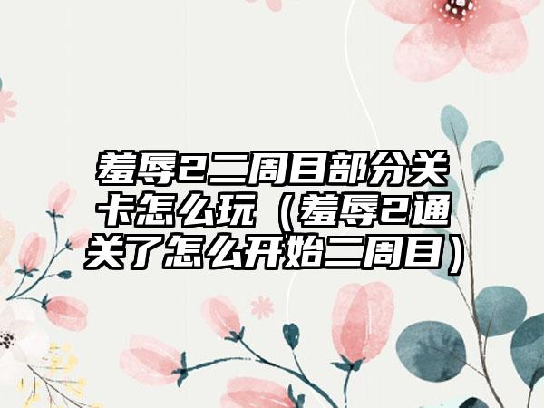 羞辱2二周目部分关卡怎么玩（羞辱2通关了怎么开始二周目）