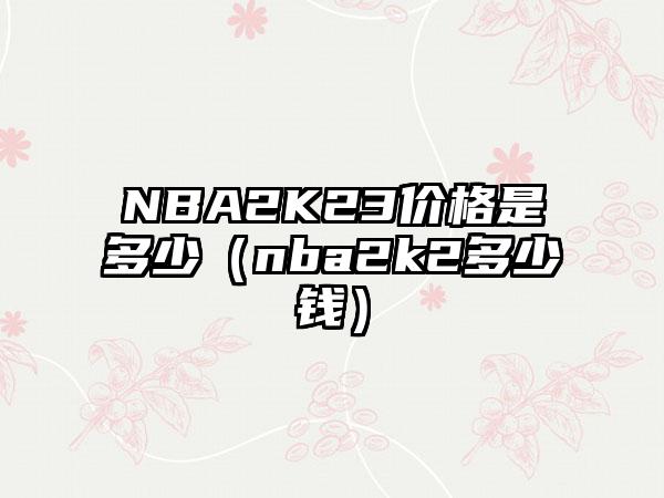 NBA2K23价格是多少（nba2k2多少钱）