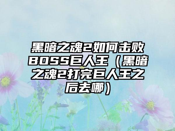 黑暗之魂2如何击败BOSS巨人王（黑暗之魂2打完巨人王之后去哪）