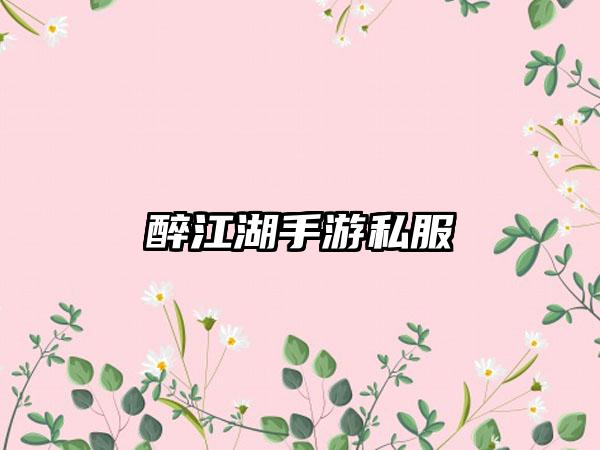 醉江湖手游私服