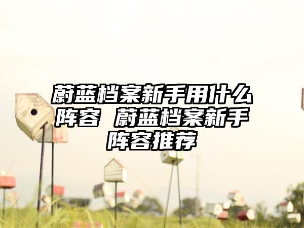 蔚蓝档案新手用什么阵容 蔚蓝档案新手阵容推荐