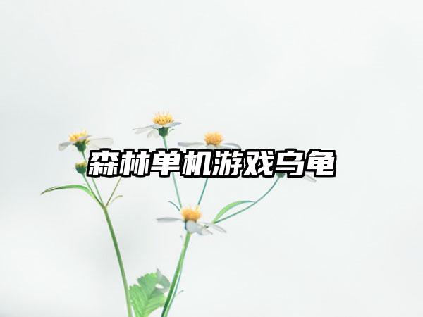 森林单机游戏乌龟