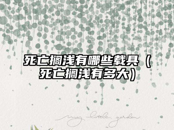 死亡搁浅有哪些载具（死亡搁浅有多大）