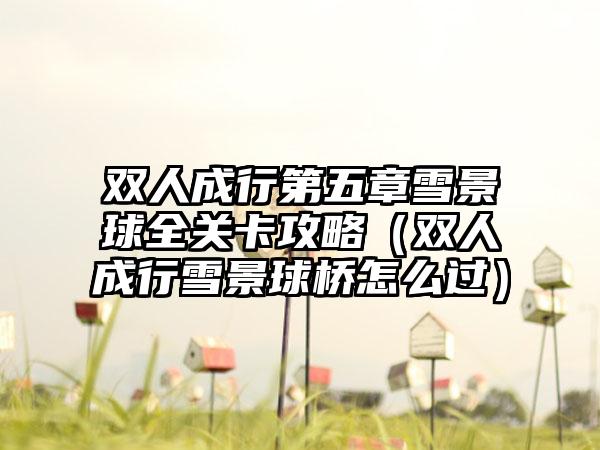 双人成行第五章雪景球全关卡攻略（双人成行雪景球桥怎么过）