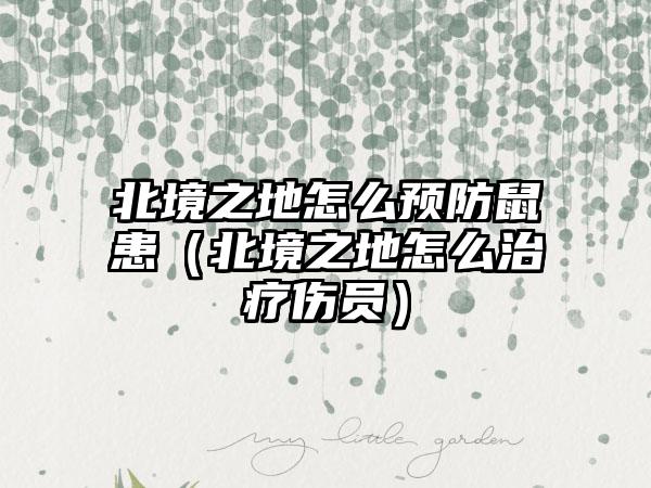 北境之地怎么预防鼠患（北境之地怎么治疗伤员）