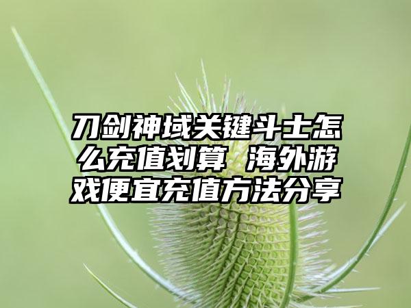 刀剑神域关键斗士怎么充值划算 海外游戏便宜充值方法分享
