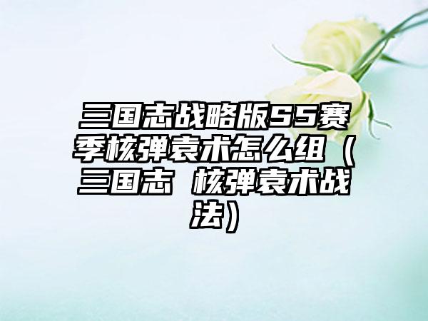 三国志战略版S5赛季核弹袁术怎么组（三国志 核弹袁术战法）