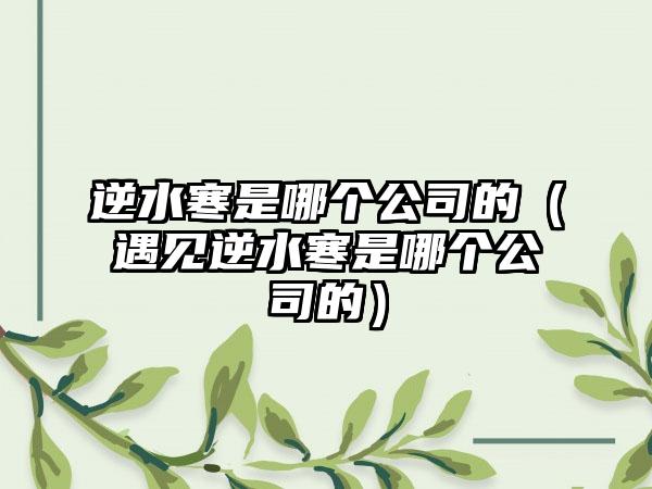 逆水寒是哪个公司的（遇见逆水寒是哪个公司的）