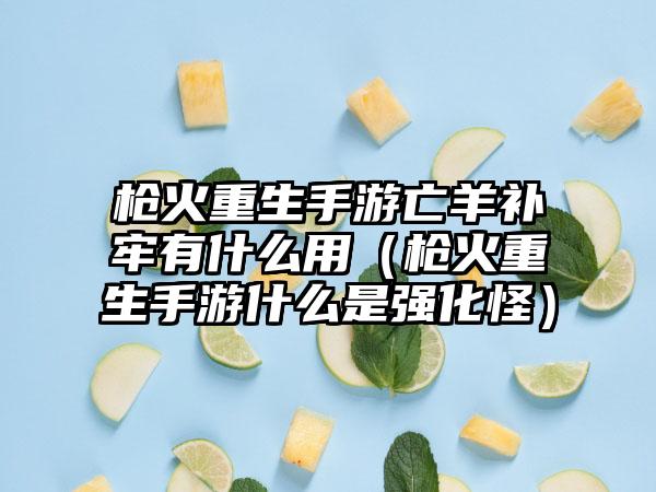 枪火重生手游亡羊补牢有什么用（枪火重生手游什么是强化怪）