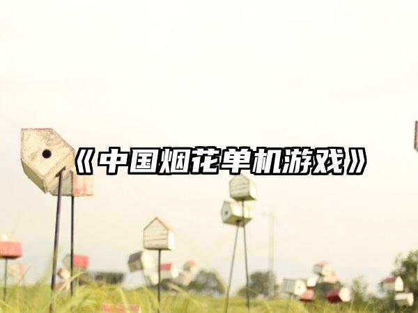 《中国烟花单机游戏》