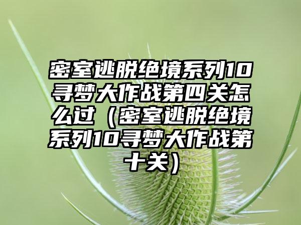 密室逃脱绝境系列10寻梦大作战第四关怎么过（密室逃脱绝境系列10寻梦大作战第十关）