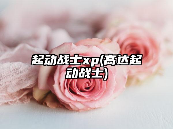 起动战士xp(高达起动战士)