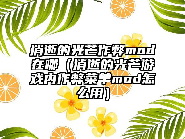 消逝的光芒作弊mod在哪（消逝的光芒游戏内作弊菜单mod怎么用）