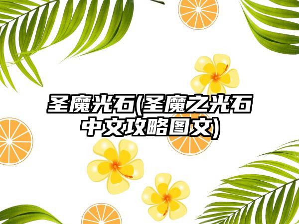 圣魔光石(圣魔之光石中文攻略图文)