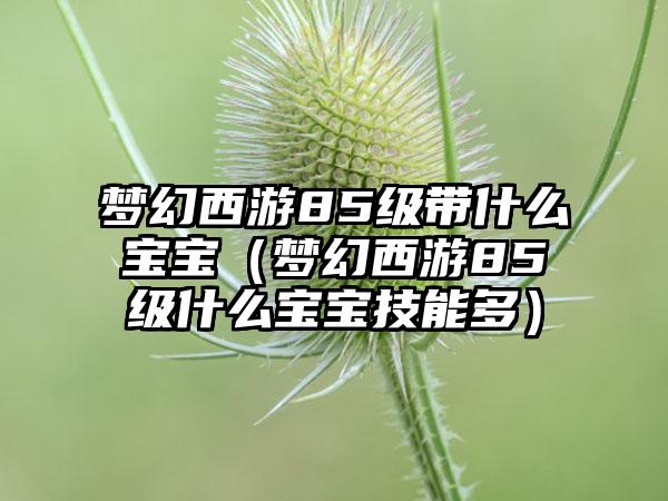 梦幻西游85级带什么宝宝（梦幻西游85级什么宝宝技能多）