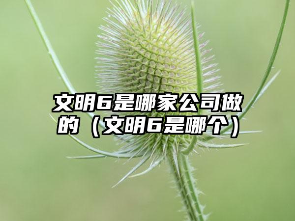 文明6是哪家公司做的（文明6是哪个）