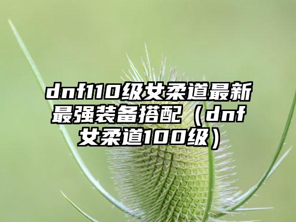dnf110级女柔道最新最强装备搭配（dnf女柔道100级）