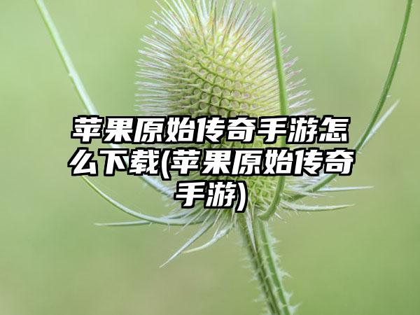 苹果原始传奇手游怎么下载(苹果原始传奇手游)