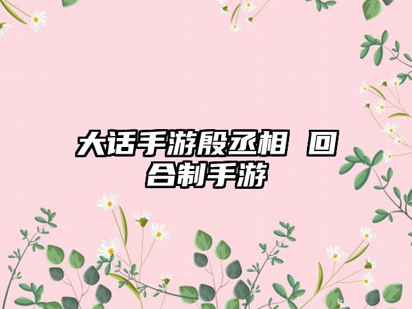 大话手游殷丞相 回合制手游