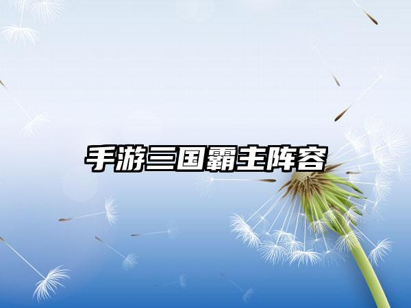 手游三国霸主阵容