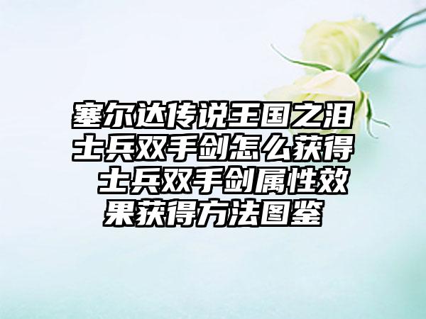 塞尔达传说王国之泪士兵双手剑怎么获得 士兵双手剑属性效果获得方法图鉴