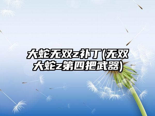 大蛇无双z补丁(无双大蛇z第四把武器)
