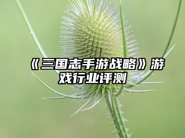 《三国志手游战略》游戏行业评测