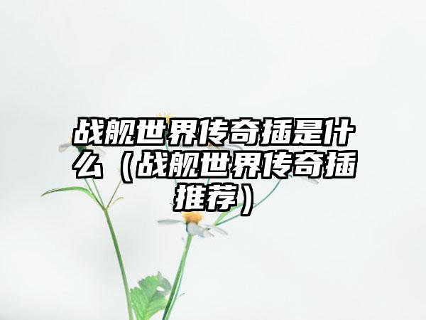 战舰世界传奇插是什么（战舰世界传奇插推荐）