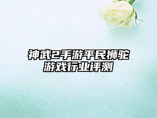 神武2手游平民狮驼游戏行业评测