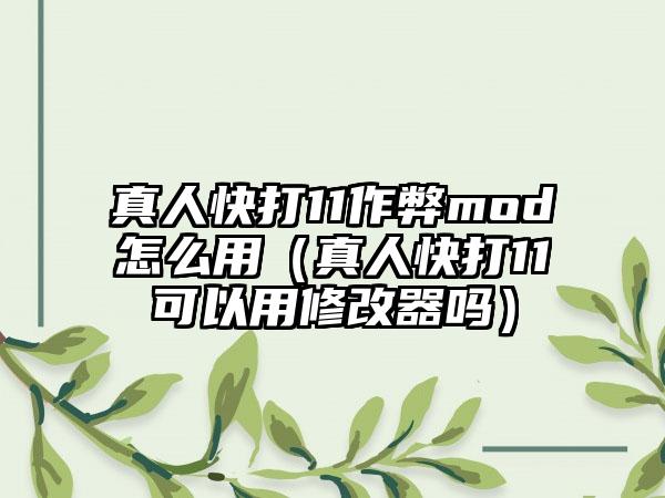 真人快打11作弊mod怎么用（真人快打11可以用修改器吗）
