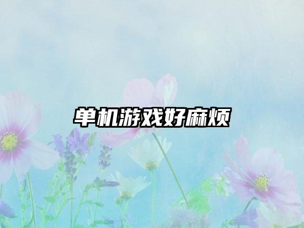 单机游戏好麻烦