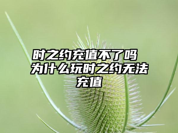 时之约充值不了吗 为什么玩时之约无法充值