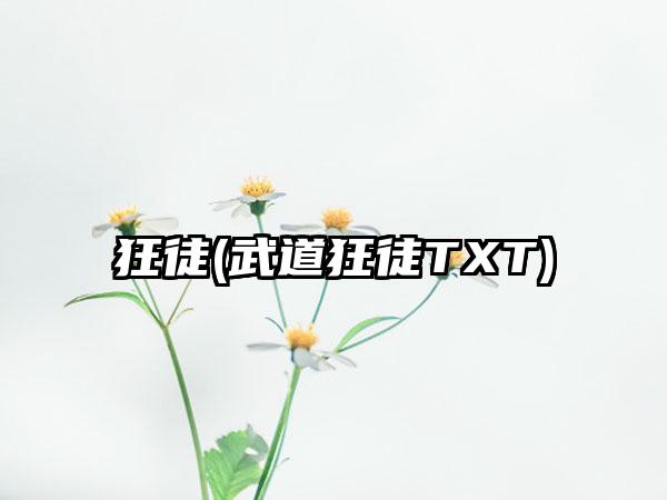 狂徒(武道狂徒TXT)